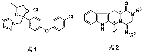 Synergistic bactericidal pesticide composition containing difenoconazole and application of synergistic bactericidal pesticide composition