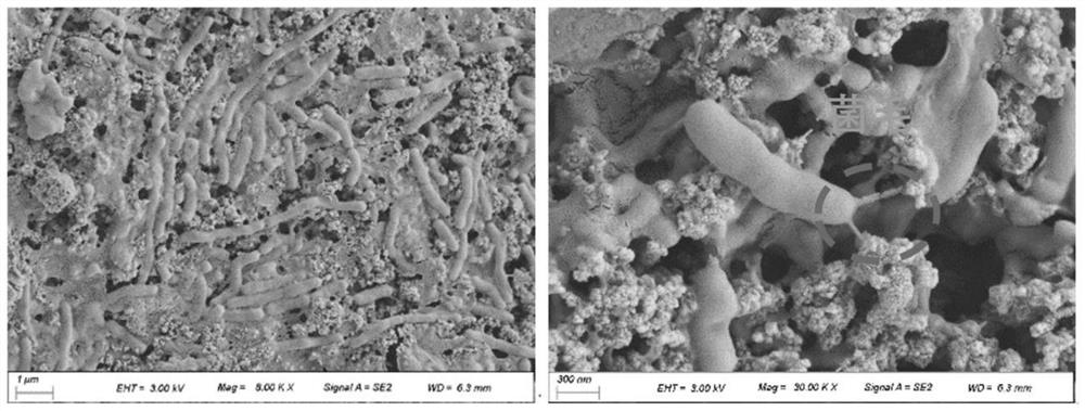 MOFs derived bimetallic cathode, preparation method thereof and method for improving yield and quality of methane by adopting MOFs derived bimetallic cathode