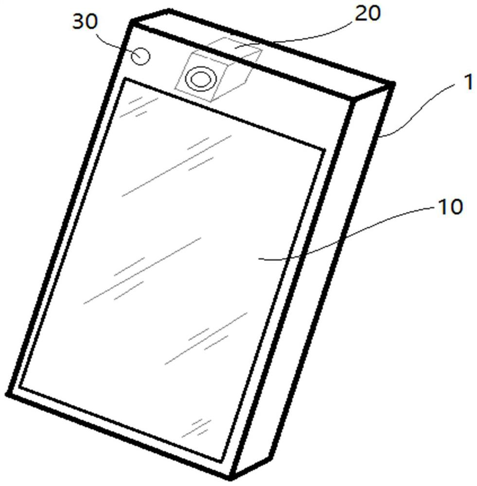 A biometric identification device, system and method