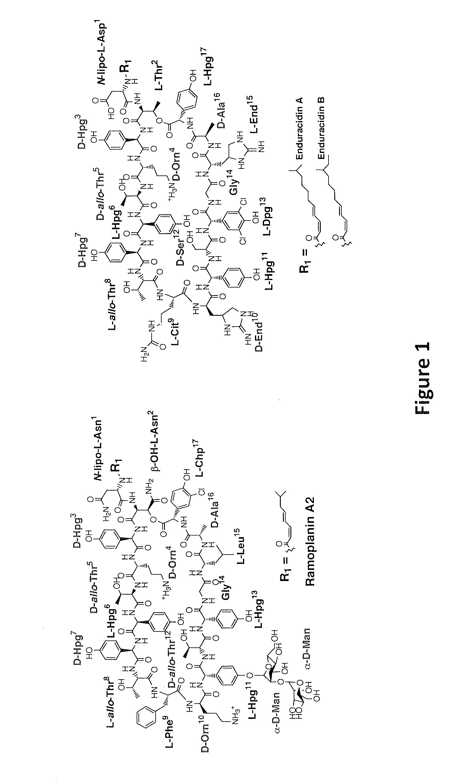 Chaperone-assisted protein expression and methods of use