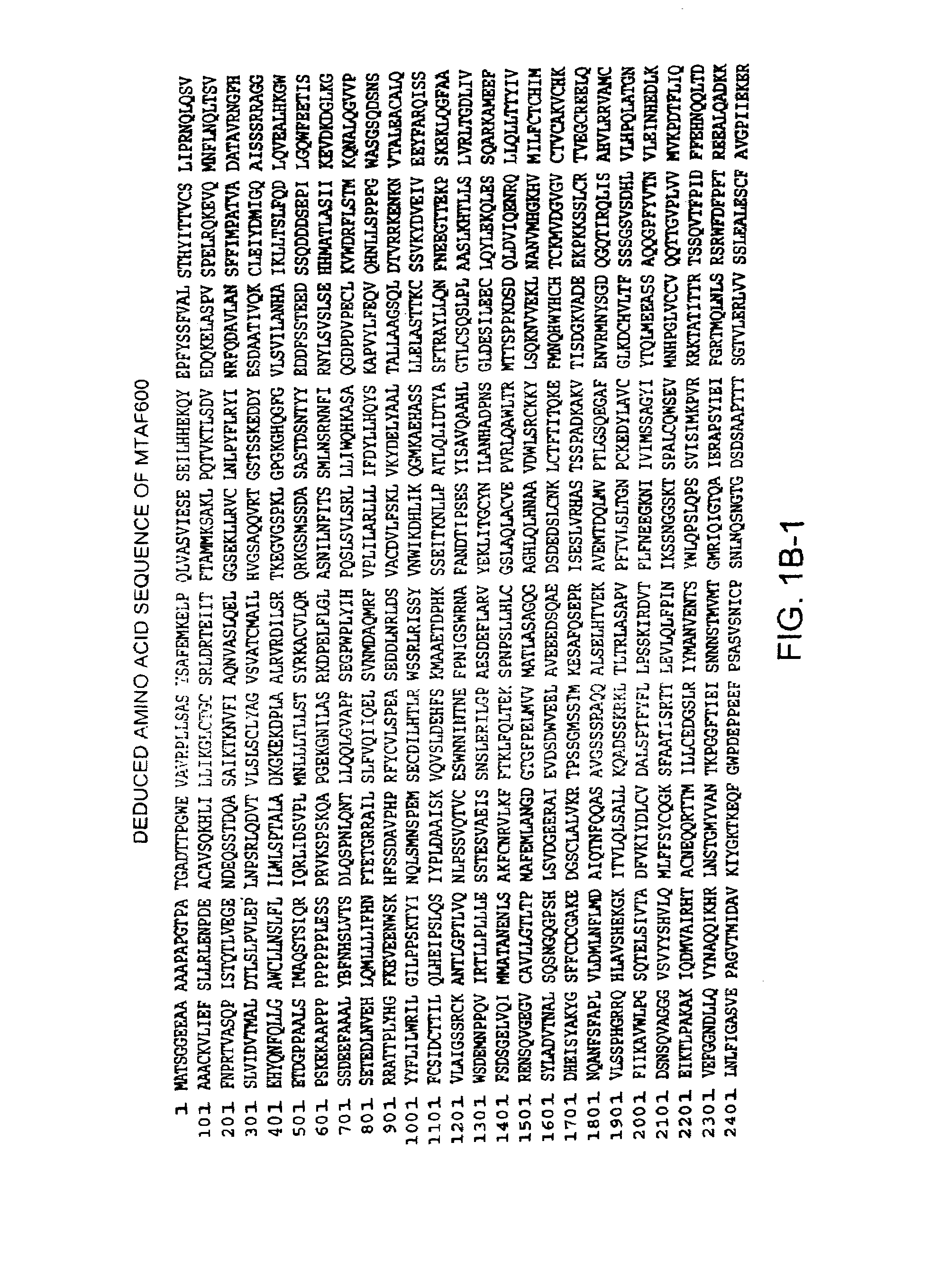Methods and compositions for modulating tumor suppression