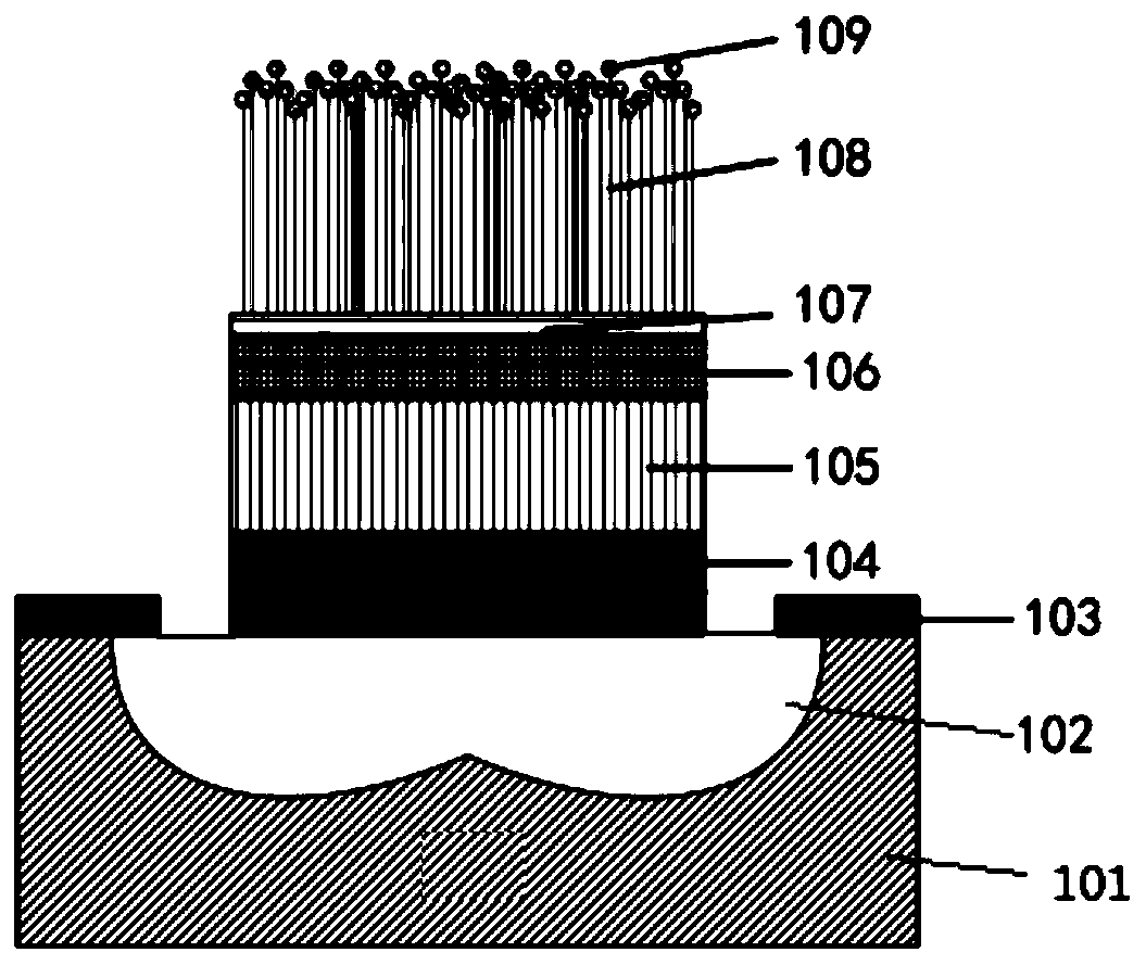 Detector adopting acoustic resonator and carbon nanotube and manufacturing method thereof