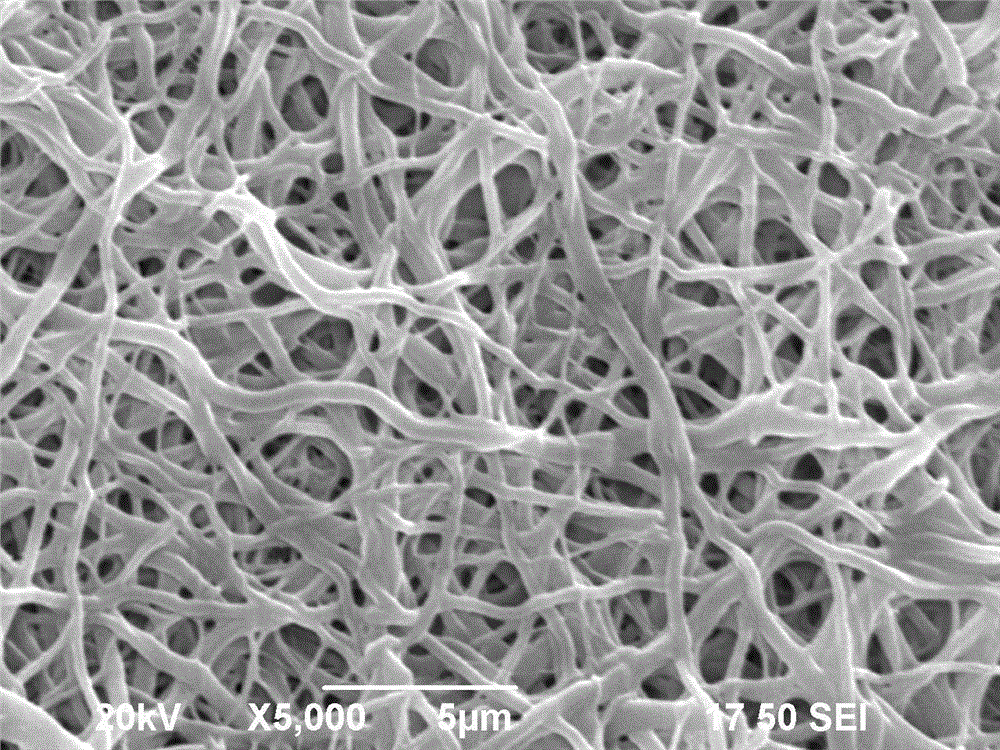 Composite nanometer fiber film and preparation method thereof