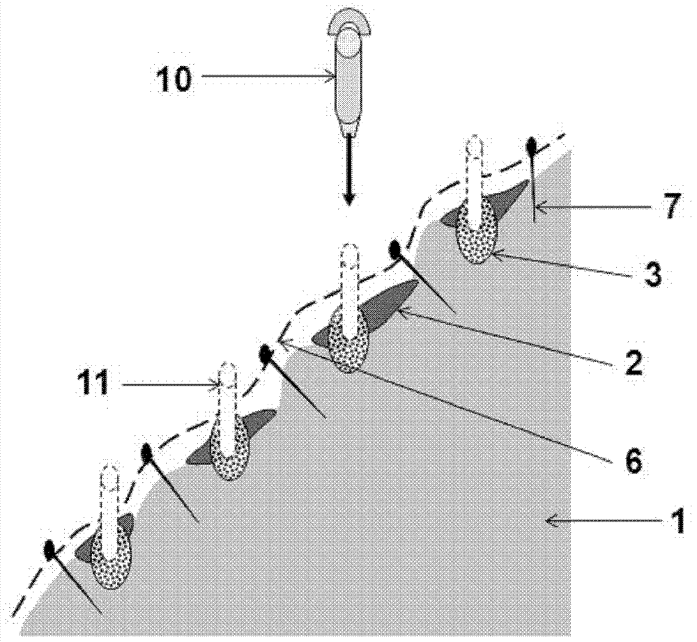 Method for constructing shrub and grass plant communities on rocky slope and application thereof
