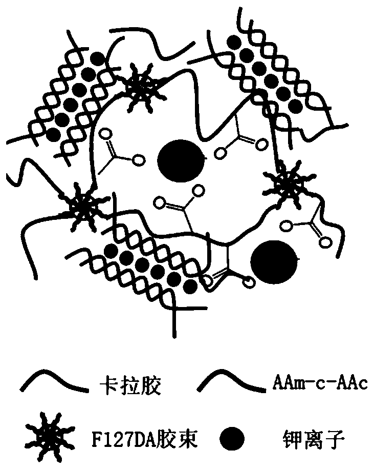 Conductive hydrogel as well as preparation method and application thereof