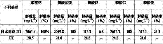 High-efficiency phosphate-solubilizing aspergillus japonicus with heavy metal tolerance