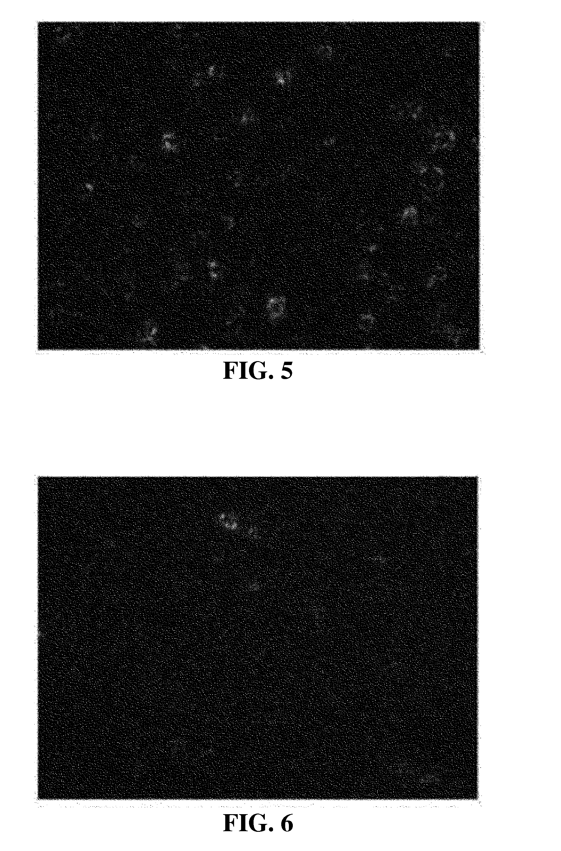 Composition externally used for subacid skin and cosmetic material including same