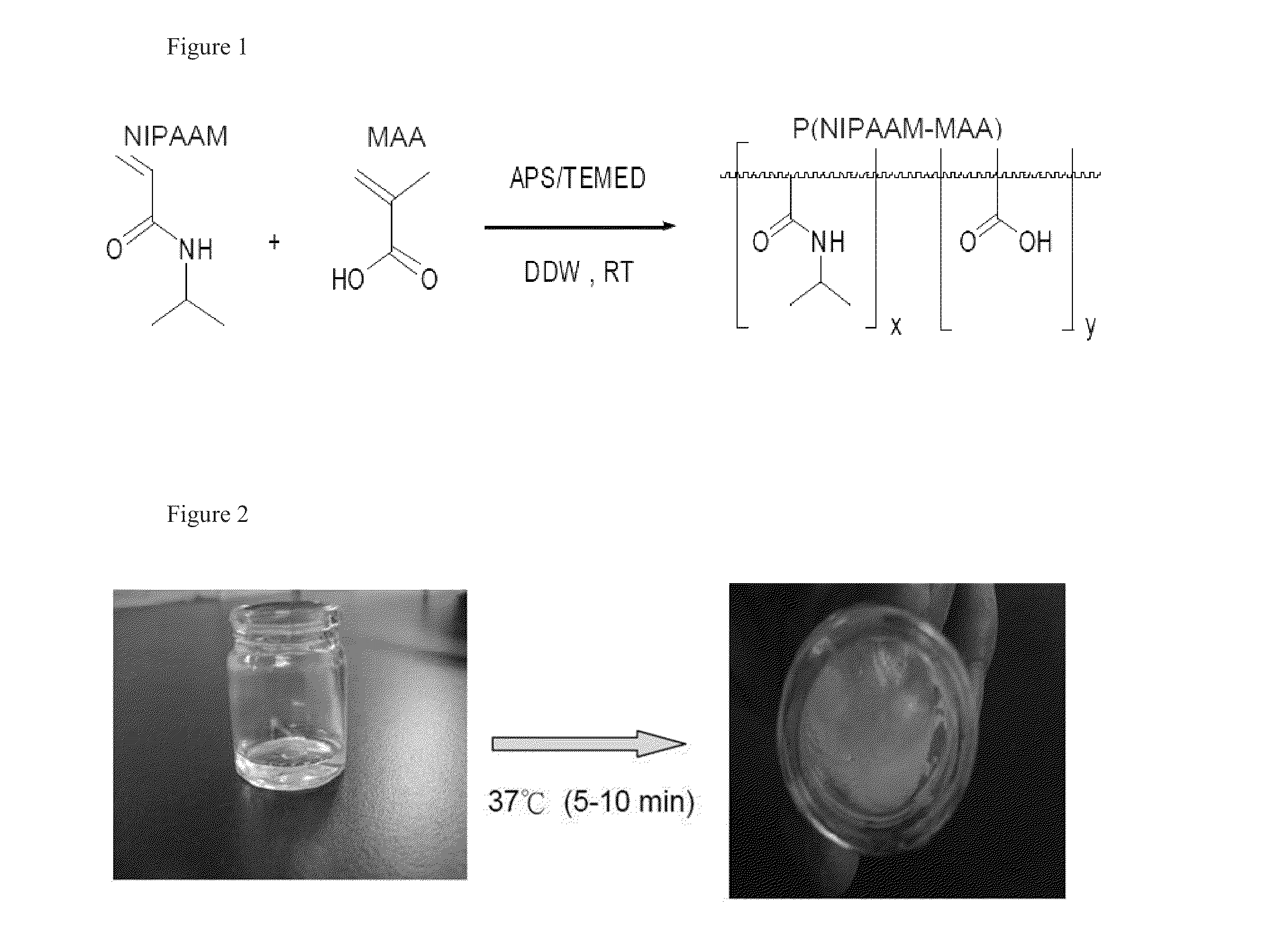 Method for preparing composition comprising porous ceramic with thermo-response hydrogel