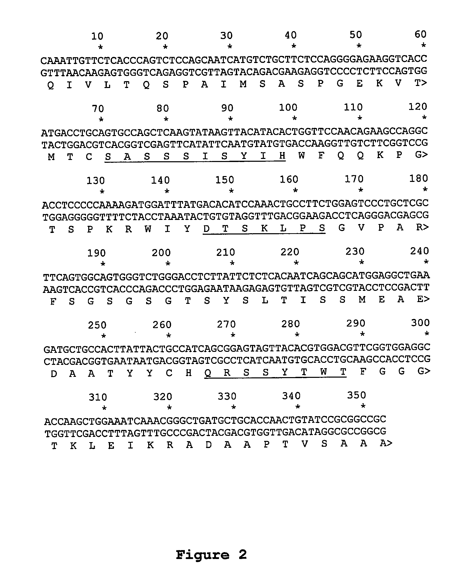 Anti-TIRC7 antibodies in therapy of inflammatory diseases