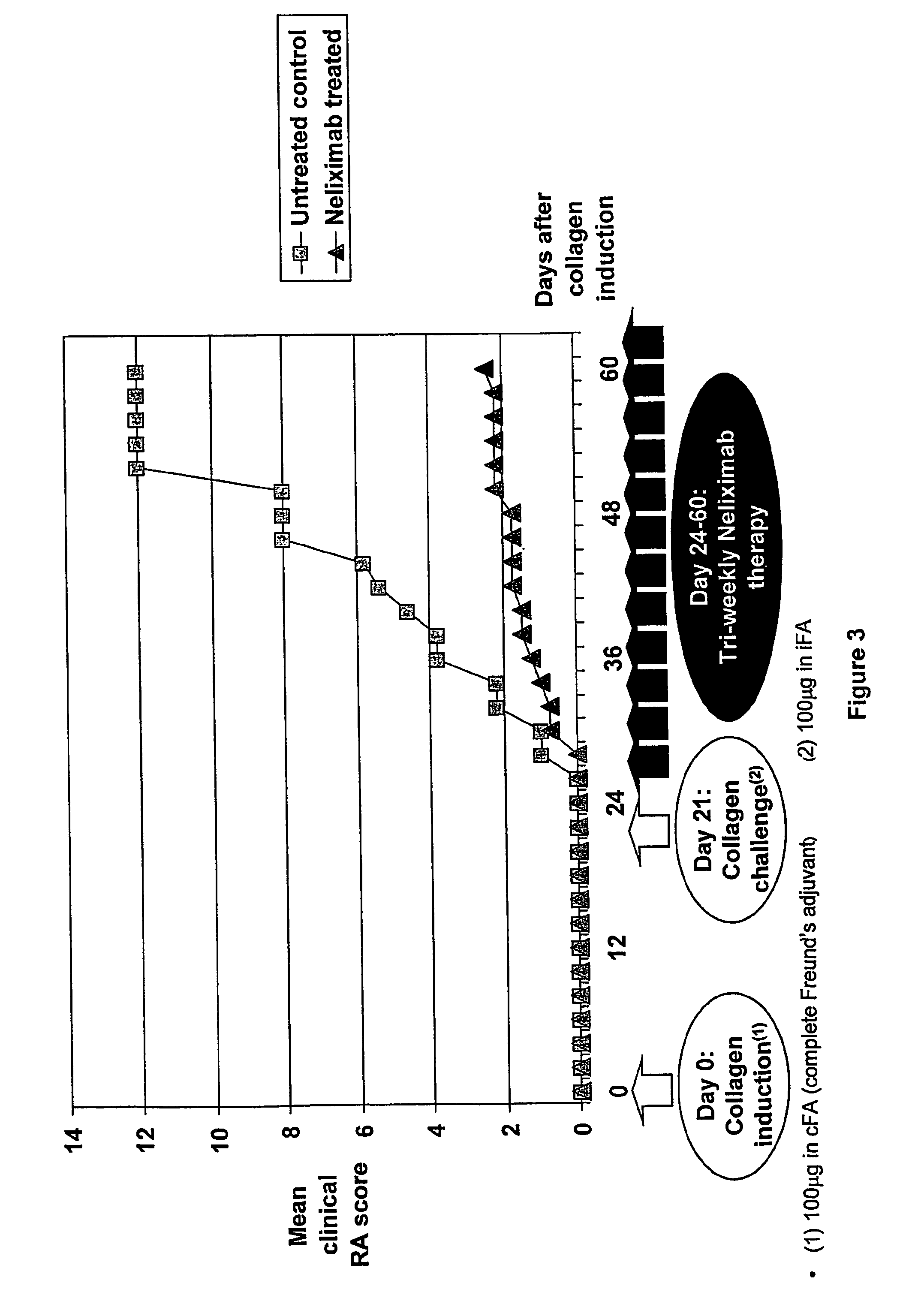 Anti-TIRC7 antibodies in therapy of inflammatory diseases