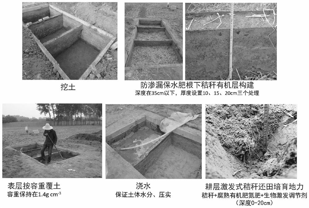 Sandy cultivated land soil body construction method using straws