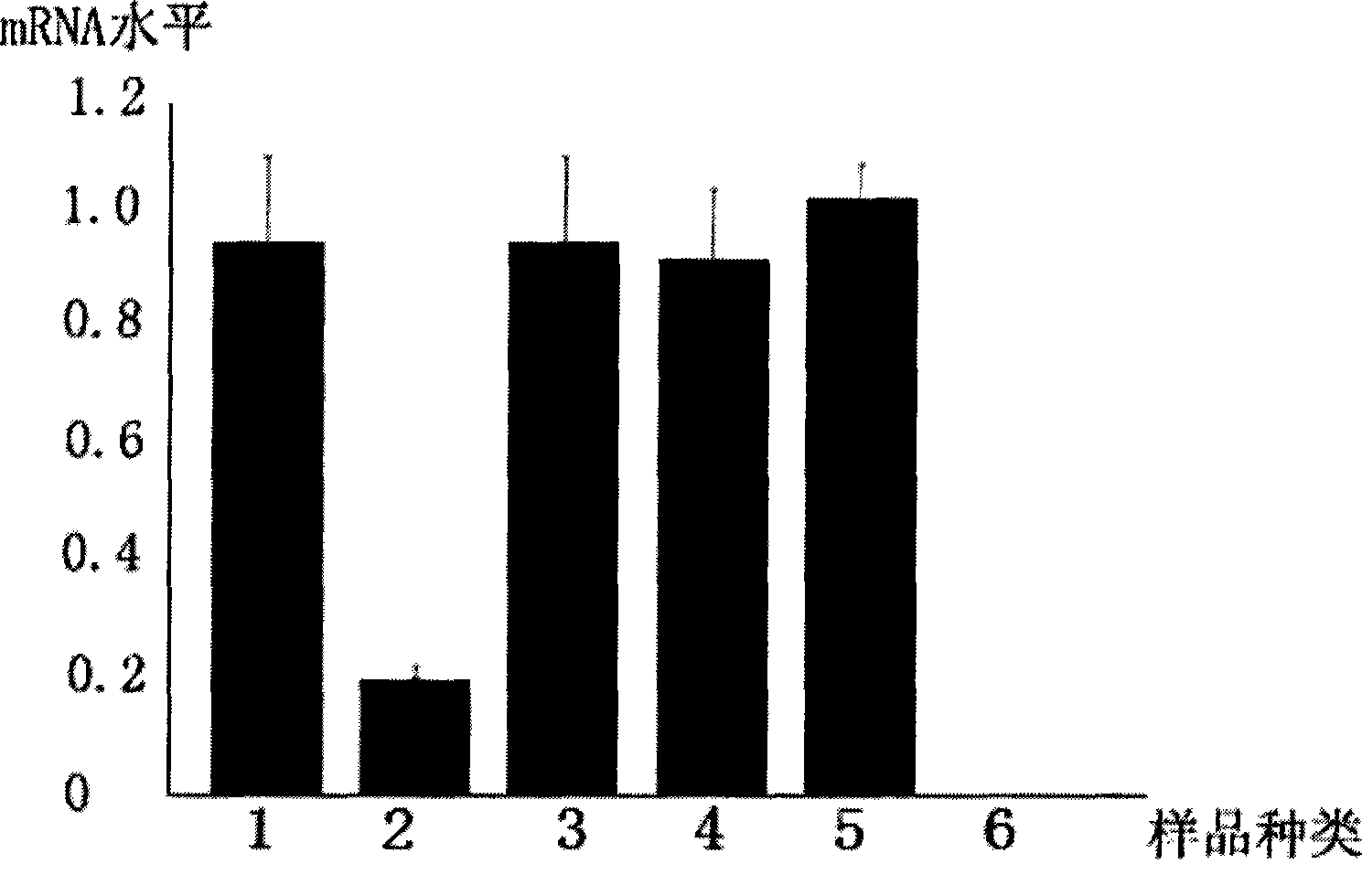 External leader sequence for guiding RNase P ribozyme and use thereof in anti-HCMV medicament preparation