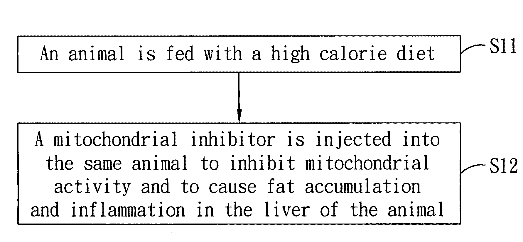 Method to induce fatty liver in animal