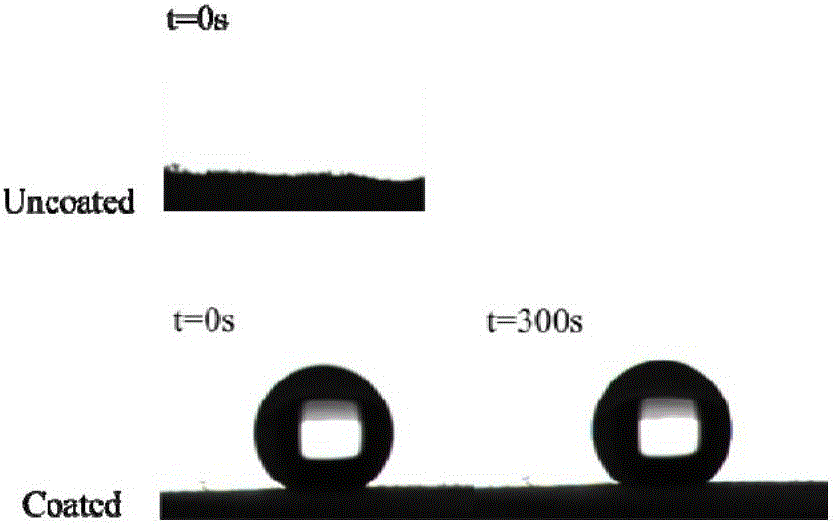 Biology base polymer aerogel oil absorption material and preparation method thereof
