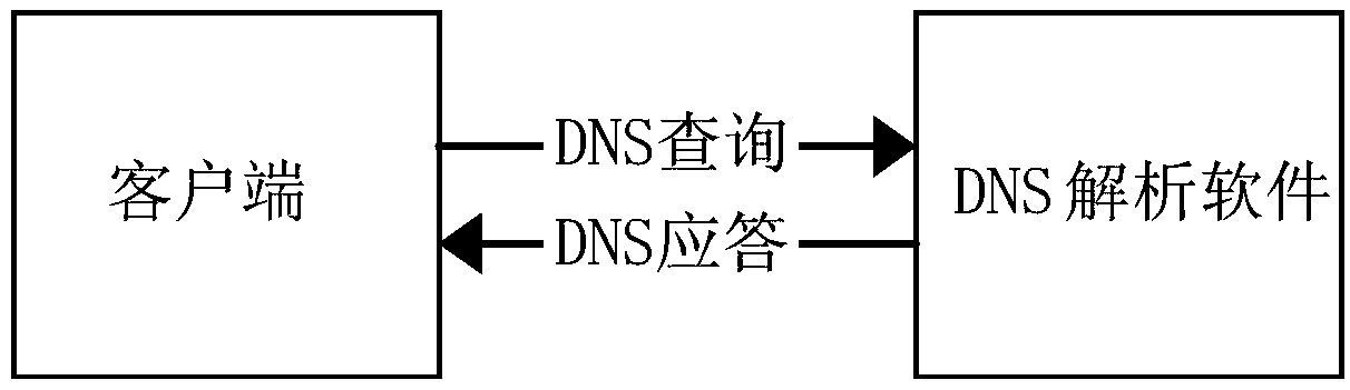 Method and system for accelerating DNS analysis software log record