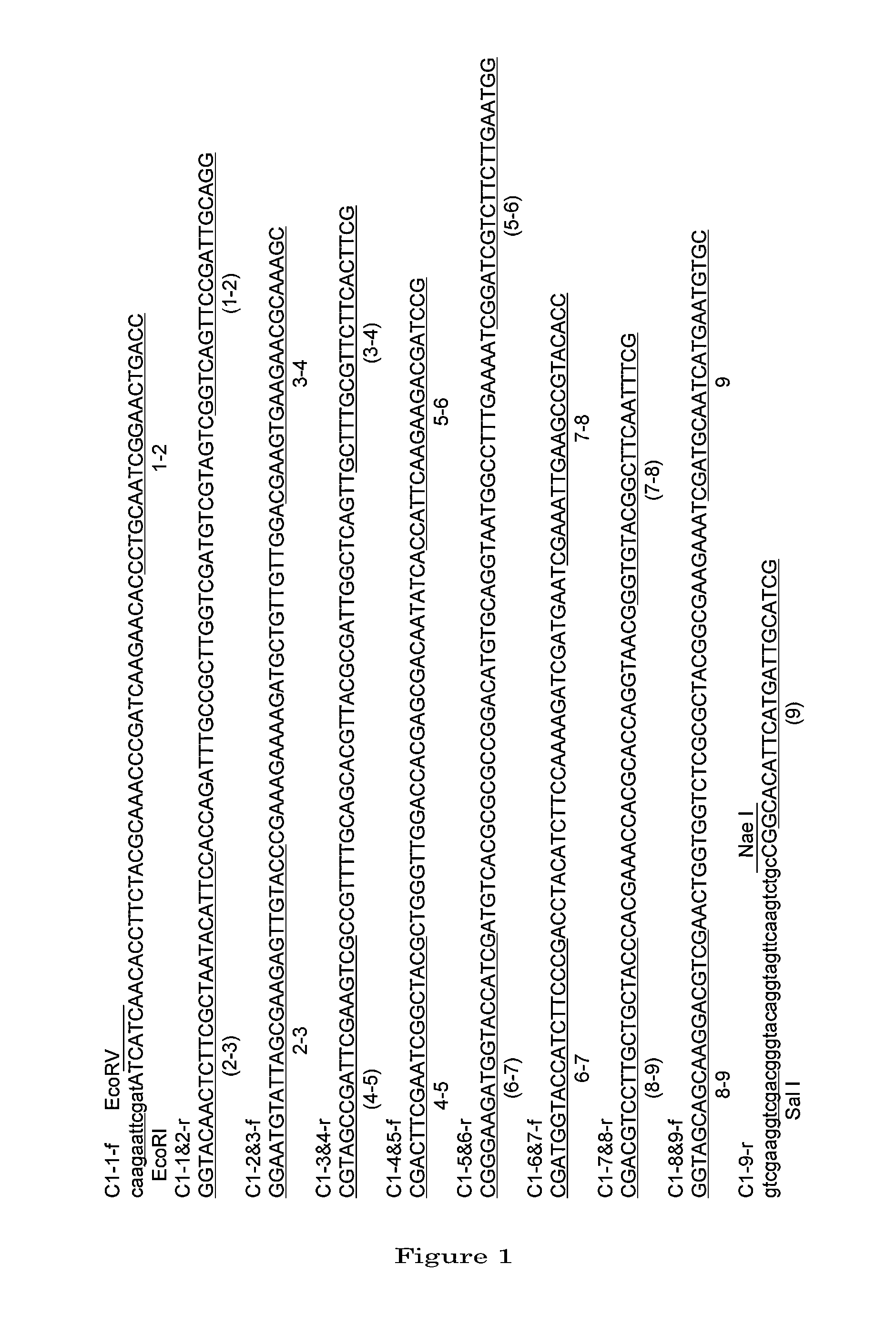 Protein production method, fusion protein, and antiserum