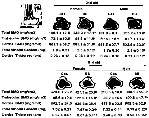 Health-care food composition for increasing bone mass and inhibiting bone loss, and application of health-care food composition