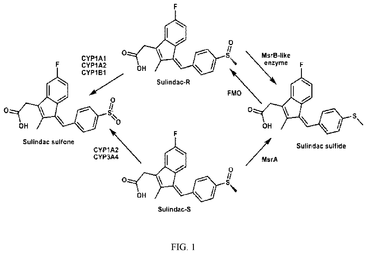 Derivatives of sulindac can protect normal cells against oxidative damage