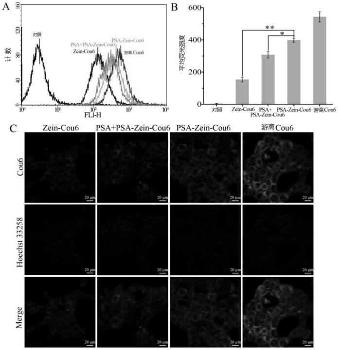 Composite nano-drug carrier as well as preparation method and application thereof