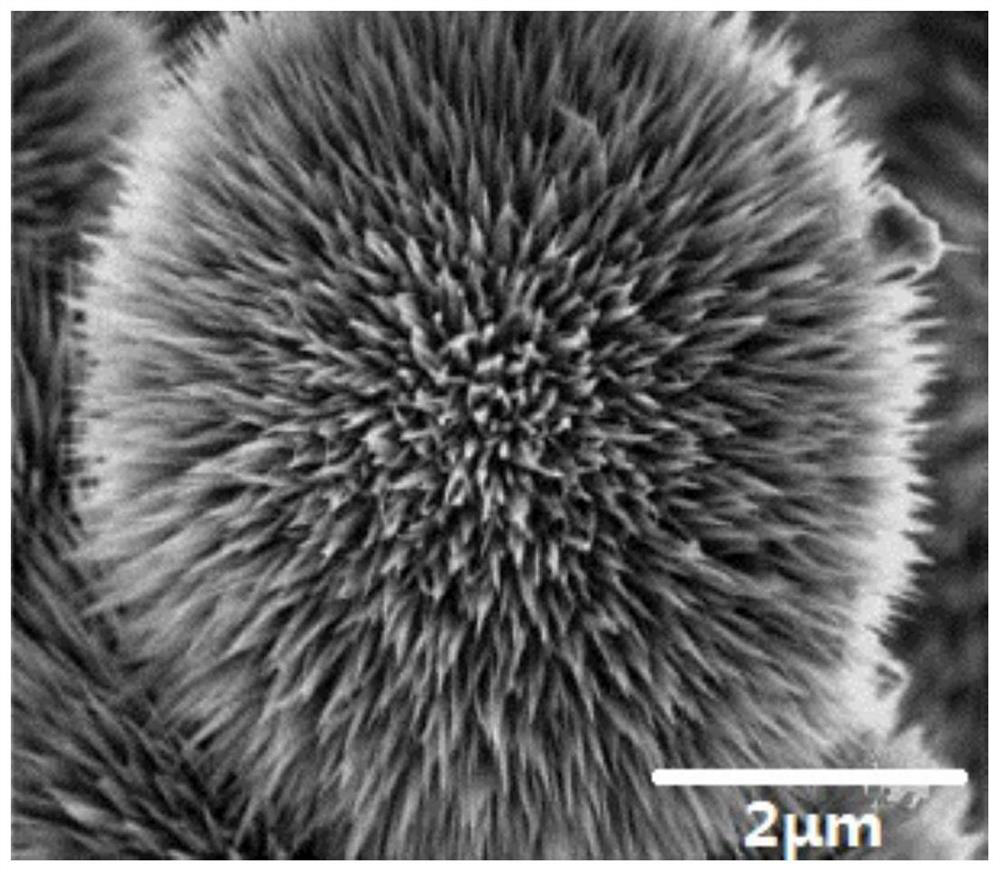 Preparation method and application of sea urchin-shaped lithium cobalt oxide