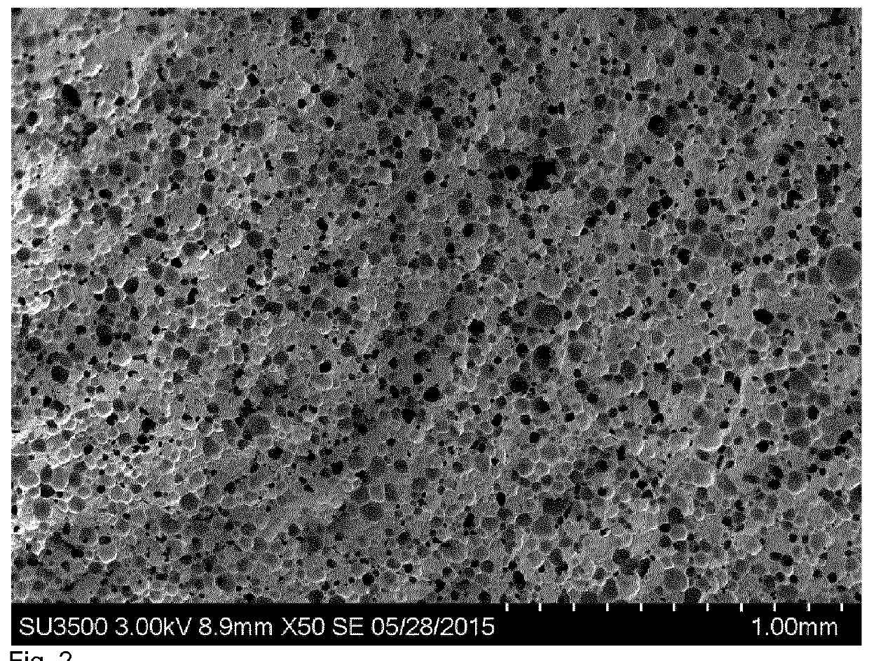 Pulse and cereal protein frozen composition