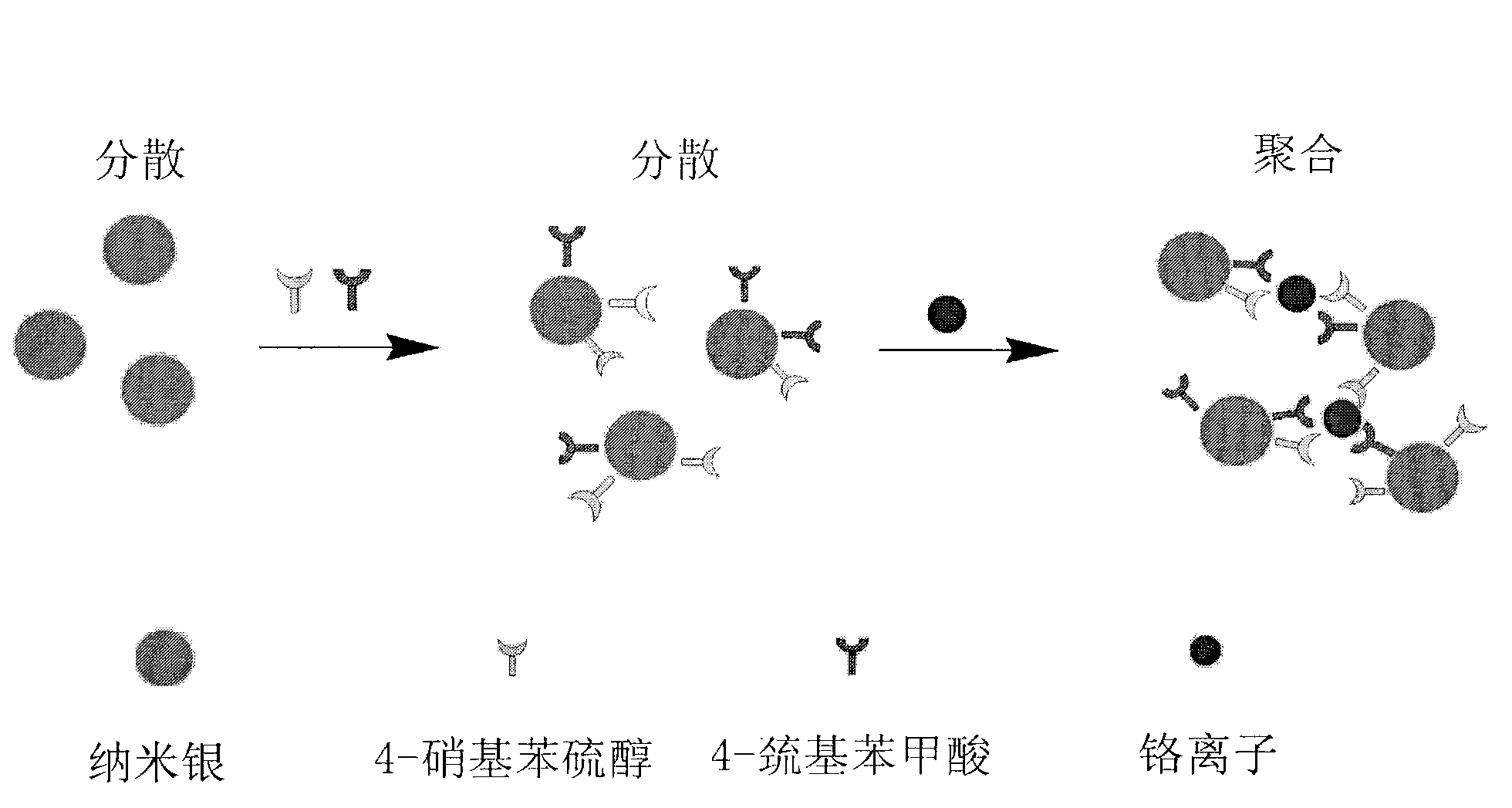 Method for visually and rapidly detecting chromium ions by using nanometer silver compound probe