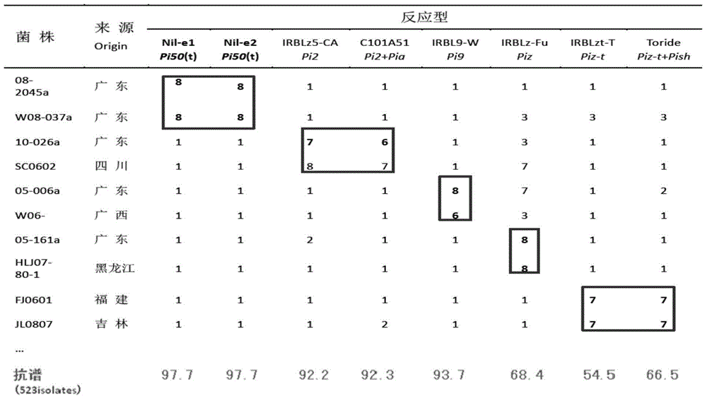 Rice blast resistance gene pi50 and its preparation method and application