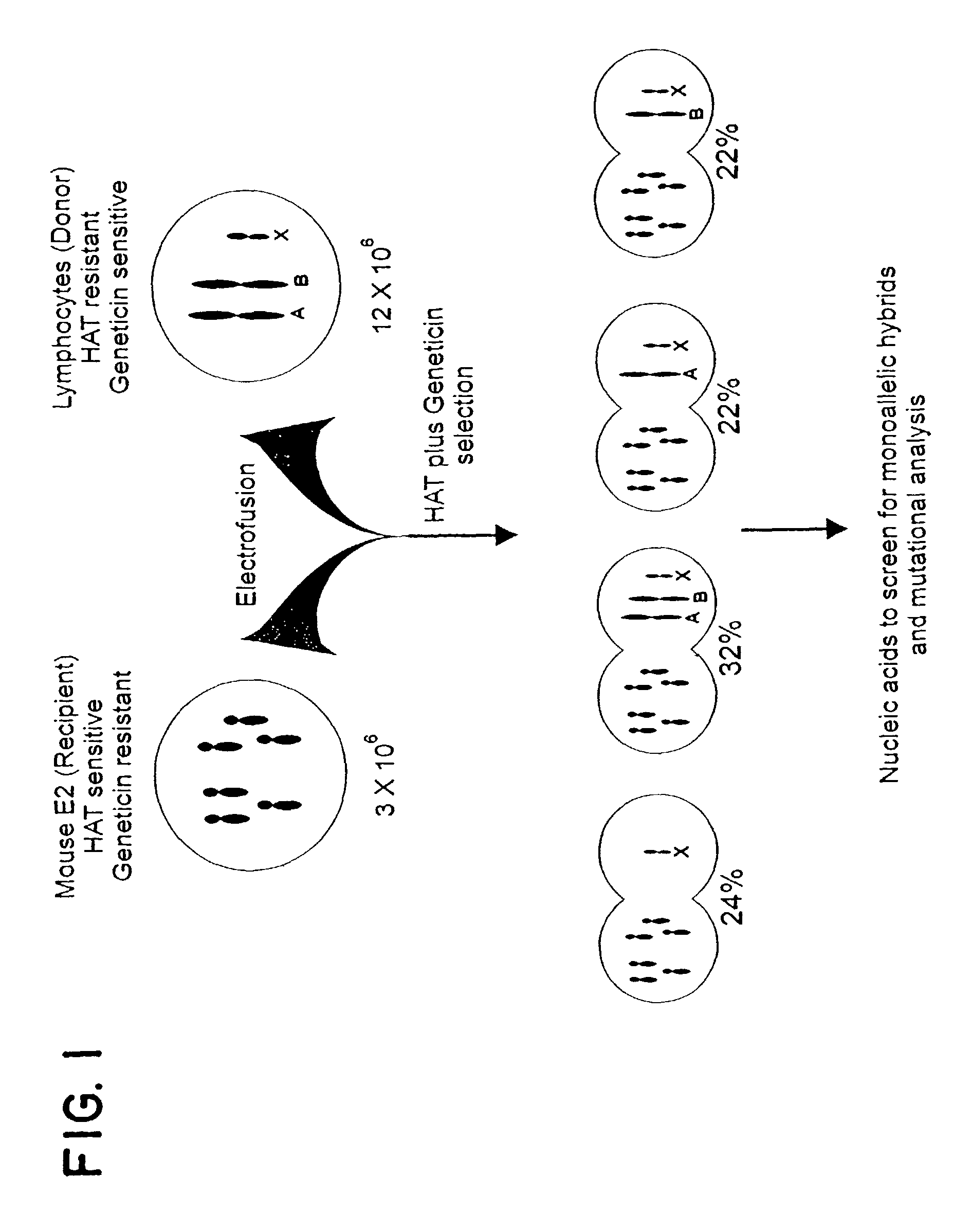 Converting diploidy to haploidy for genetic diagnosis