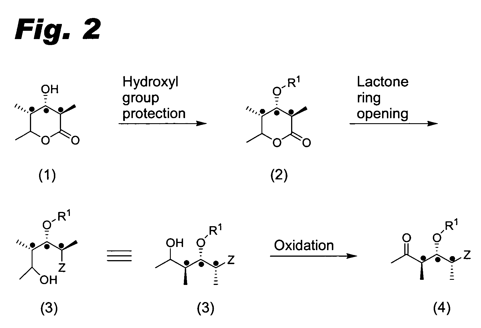 Compounds useful for the synthesis of (+)-discodermolide and methods thereof