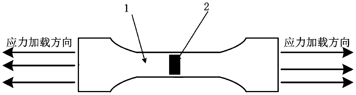 A method for ultrasonic measurement of surface stress tensor of rolled metal materials