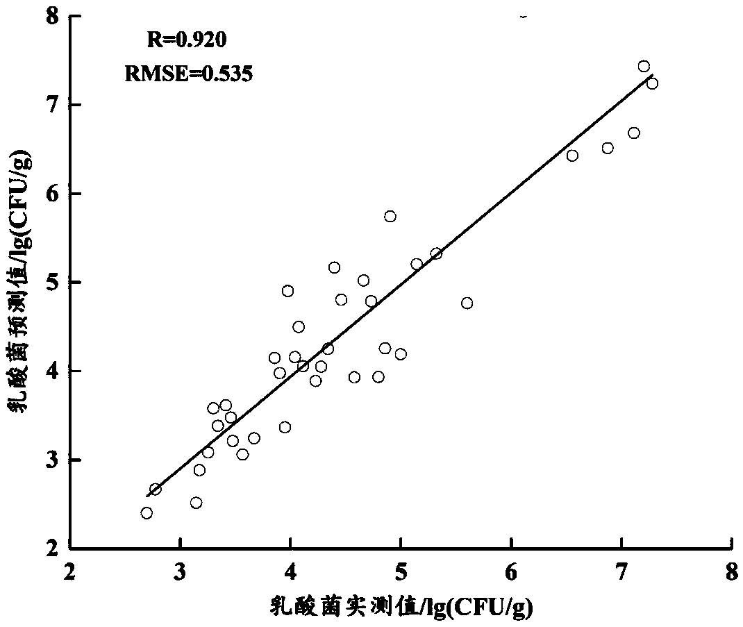 Method for rapidly detecting content of lactic acid bacteria in chicken on line