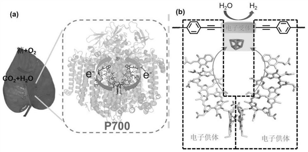 A covalent organic framework material for biomimetic photosystem i, its preparation and application