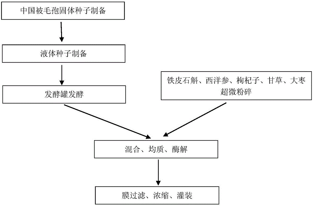 Method for preparing cordyceps sinensis oral liquid