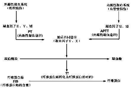 Suisi crabapple extract and active compound, preparation method and application