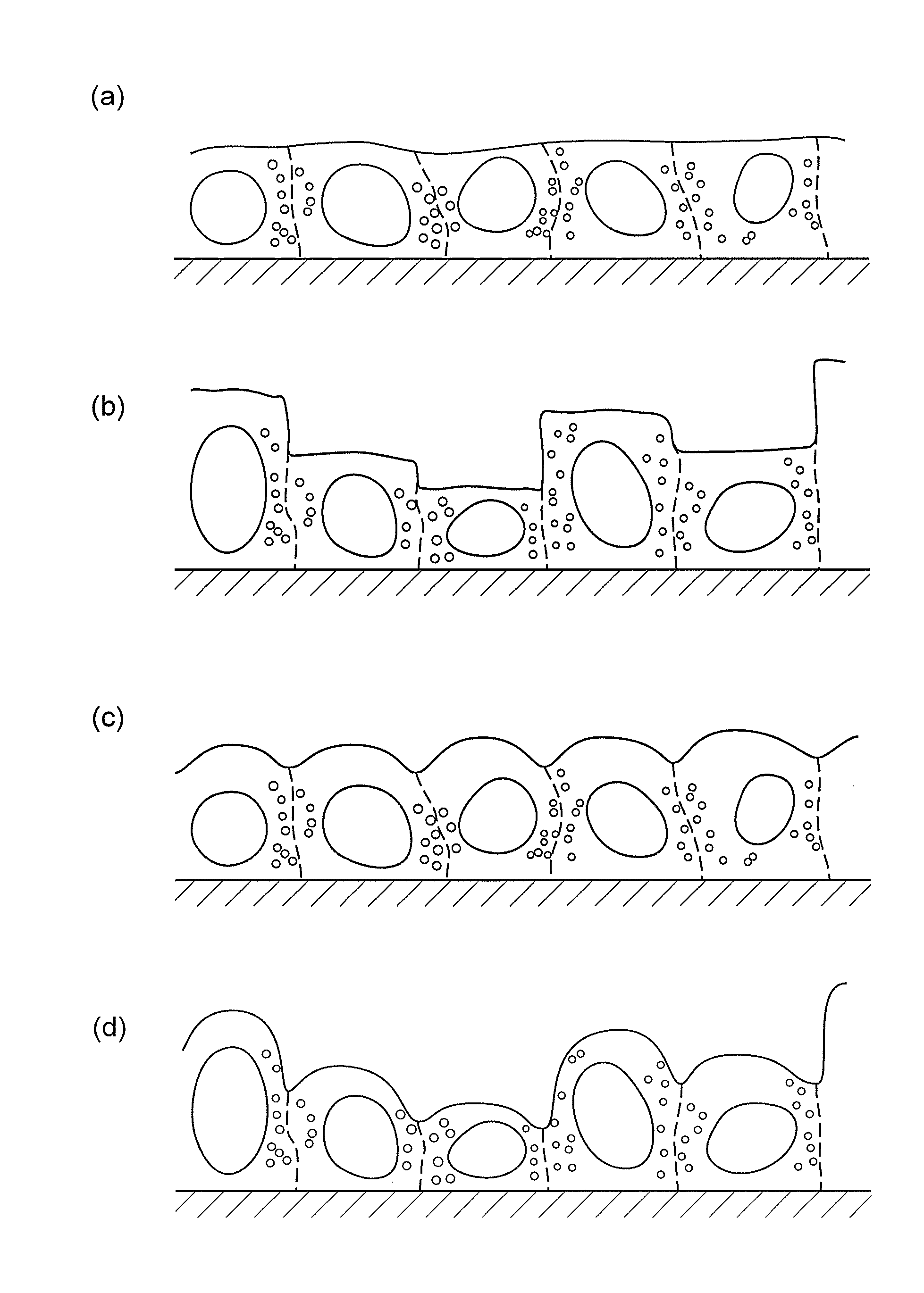 Method for determining differentiation level of pluripotent stem cells