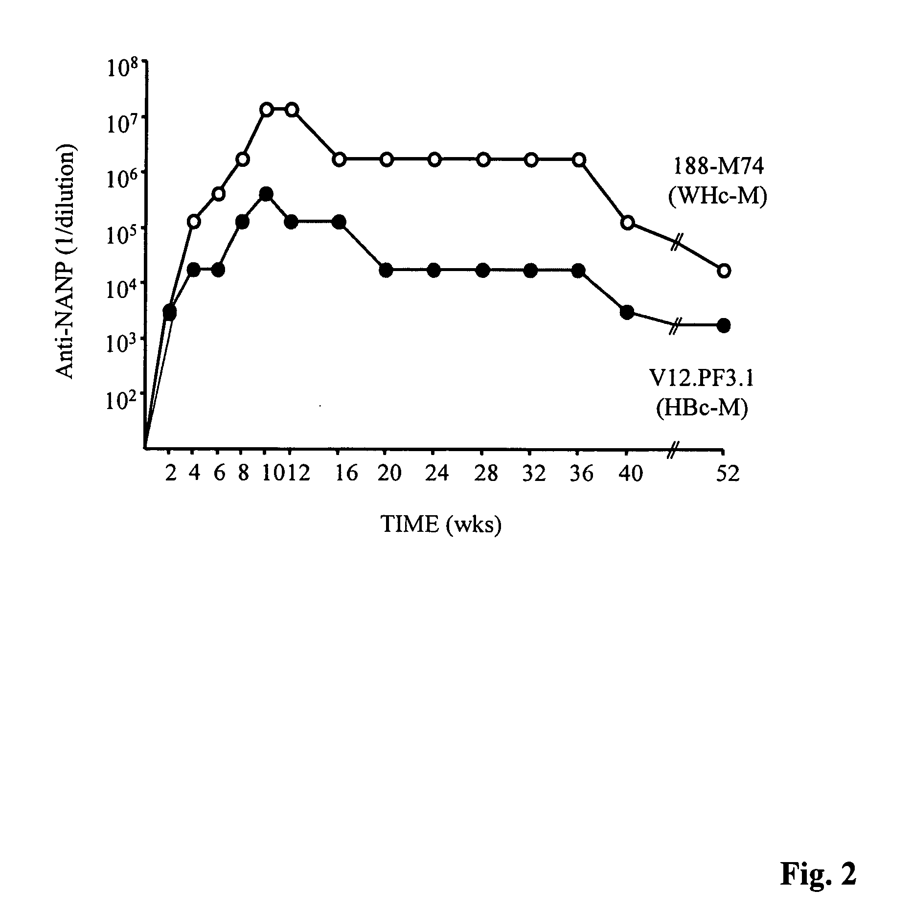 Human hepatitis B virus core proteins as vaccine platforms and methods of use thereof