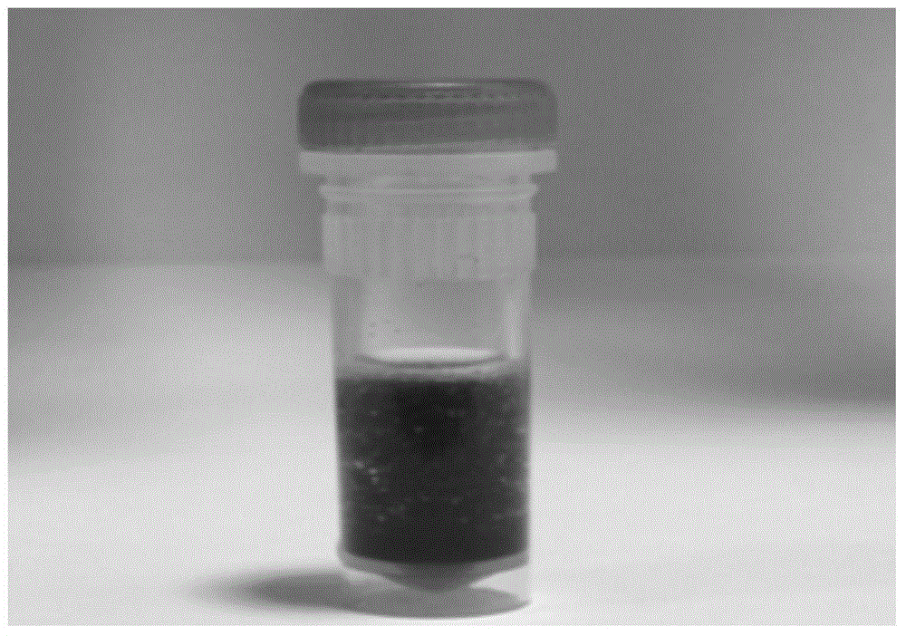 Preparation method and application of surface carboxylation modified agarose magnetic microspheres