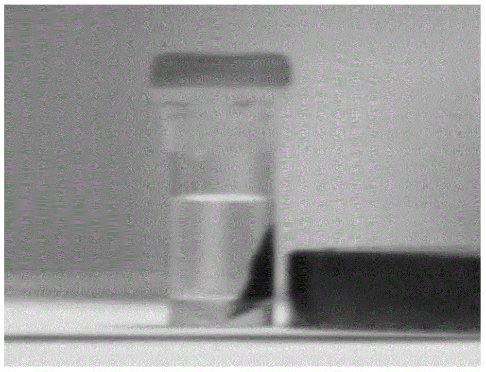 Preparation method and application of surface carboxylation modified agarose magnetic microspheres