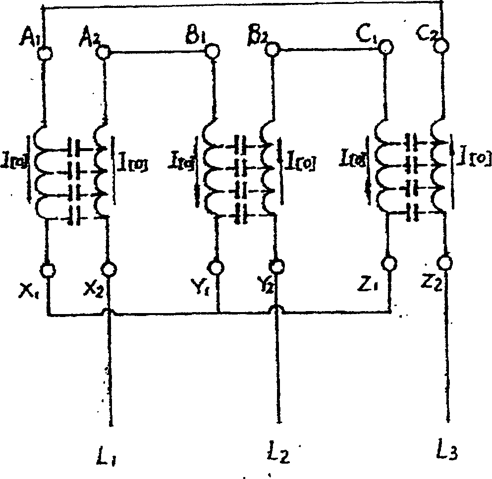 Lightning protection antiinterference capactive transformer