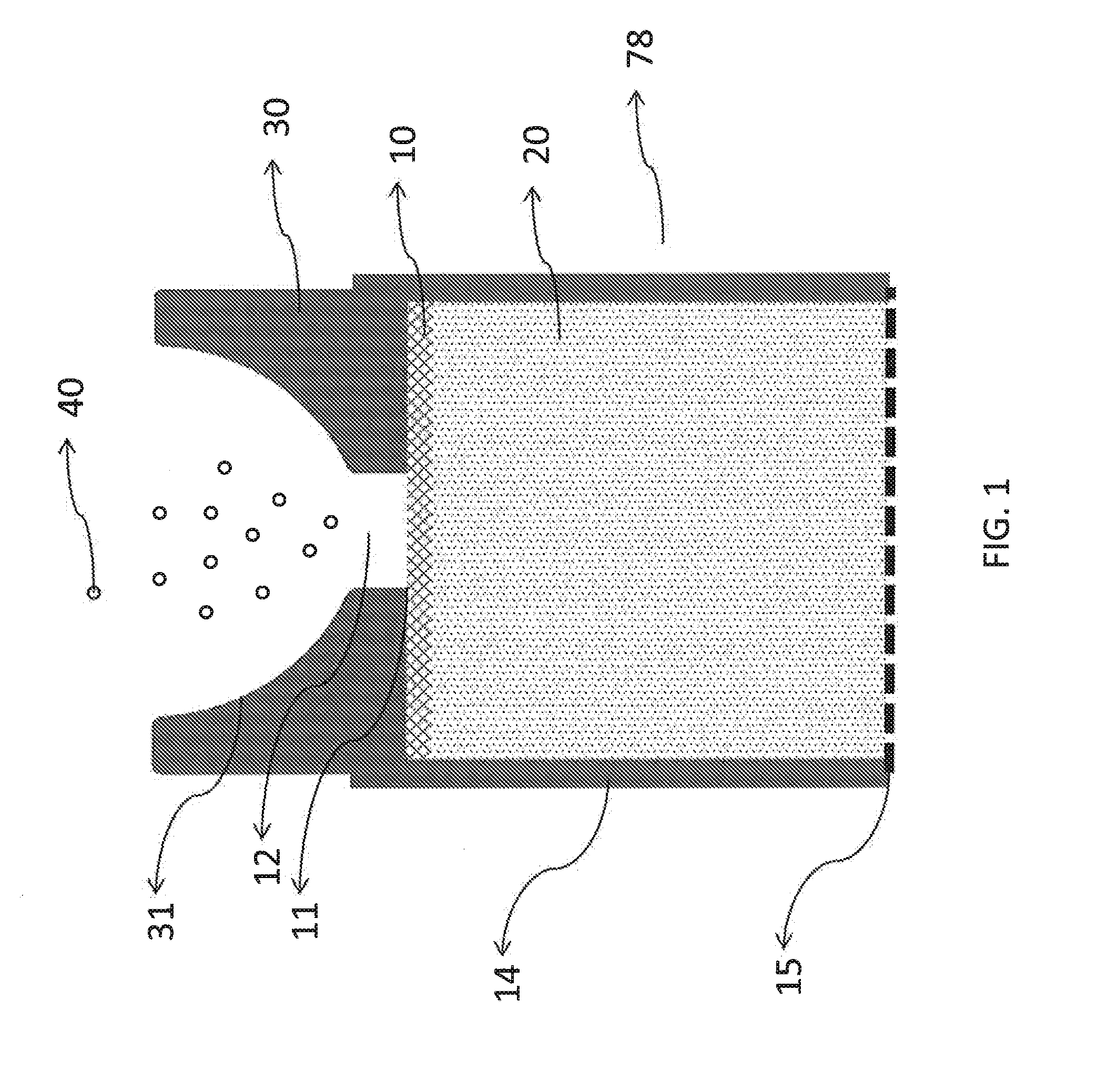 Method and apparatus for biomolecule analysis