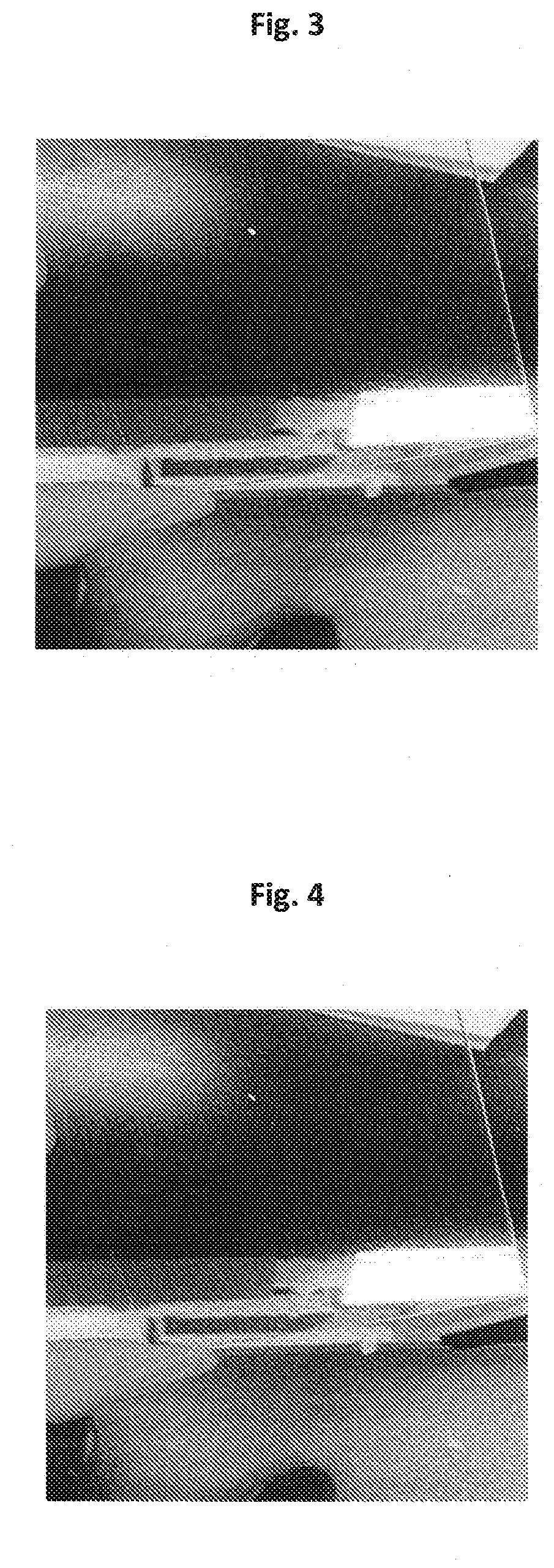 Headlight lens cleaning and restoring compositions and methods of use thereof