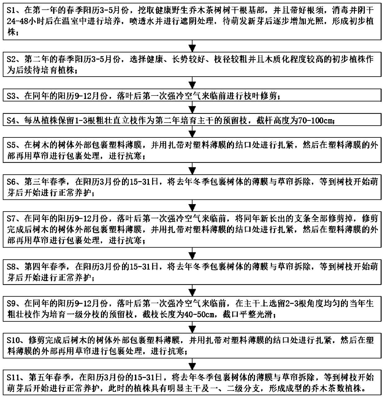 Cultivation method of yellow tea forest arbor variety for preparing cocktail tea