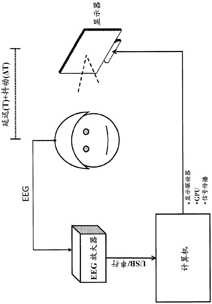 Physiological parameter measurement and feedback system