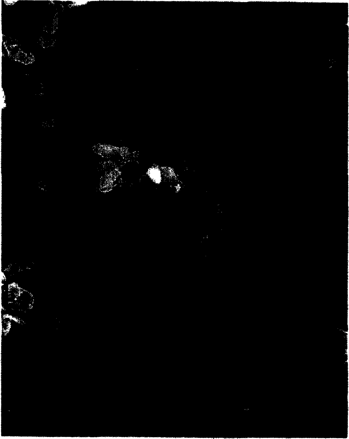 Aluminum hydroxide, aluminum hydroxide slurry and resin composition containing the same, and method for producing the same