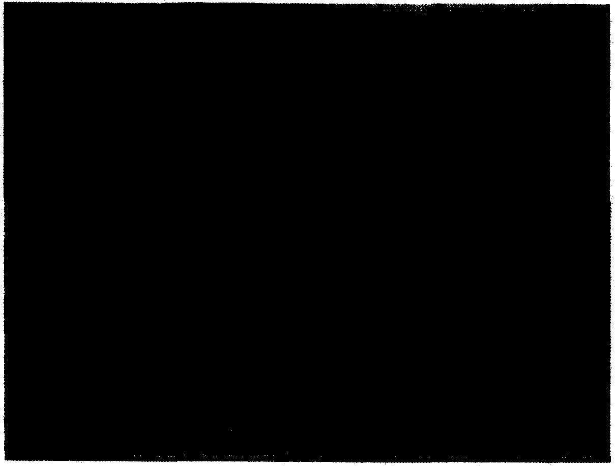 Aluminum hydroxide, aluminum hydroxide slurry and resin composition containing the same, and method for producing the same