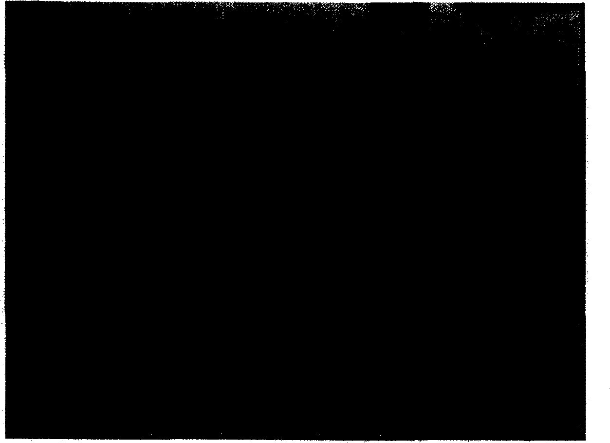 Aluminum hydroxide, aluminum hydroxide slurry and resin composition containing the same, and method for producing the same