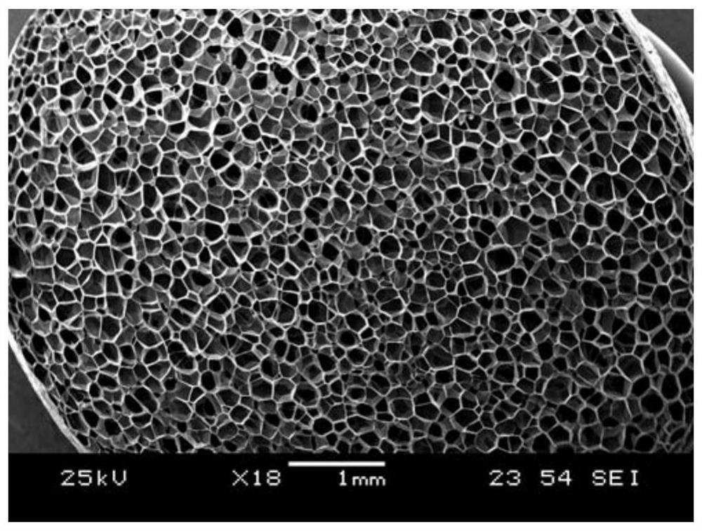 Method for preparing low-density TPU bead foam by extrusion foaming based on coupling modification of polytetrafluoroethylene and talc powder