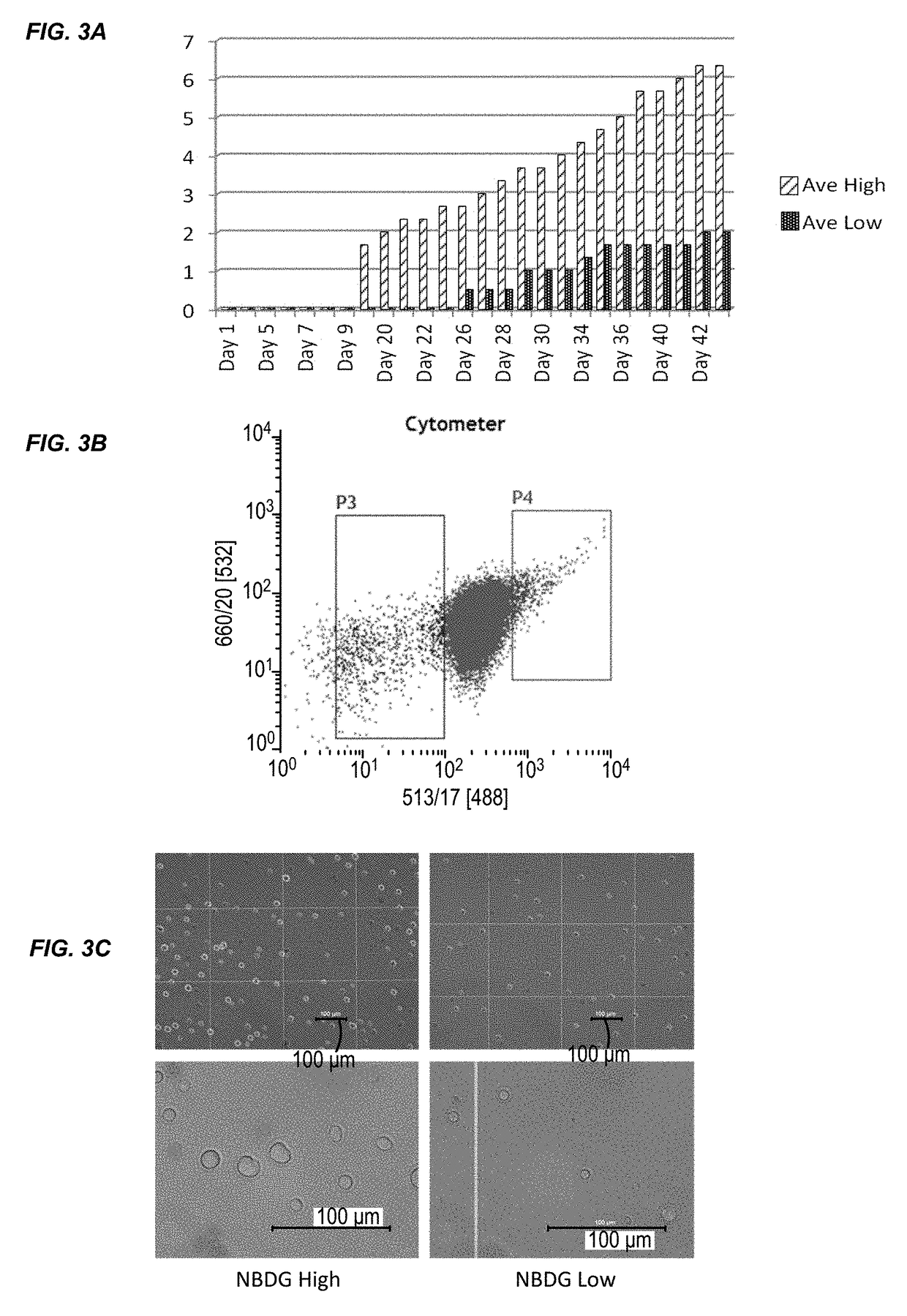 Methods of selecting and isolating cancer stem cells