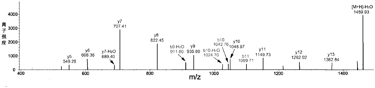 Angiotensin-converting enzyme inhibitory peptide and its preparation method and application