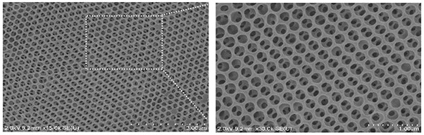 Surface molecular imprinting gel photonic crystal sensor as well as preparation method and application thereof